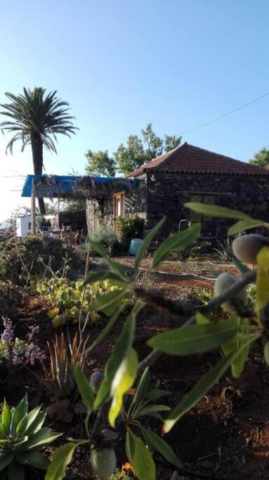 ティハラフェ Casita En El Campo Con Vista Al Oceanoヴィラ エクステリア 写真