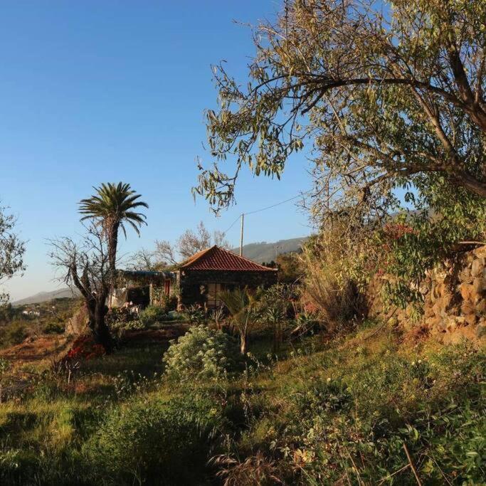 ティハラフェ Casita En El Campo Con Vista Al Oceanoヴィラ エクステリア 写真