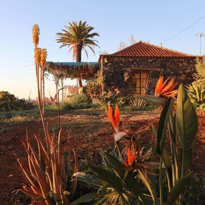ティハラフェ Casita En El Campo Con Vista Al Oceanoヴィラ エクステリア 写真