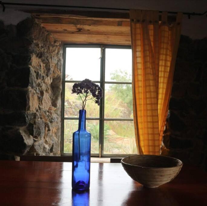 ティハラフェ Casita En El Campo Con Vista Al Oceanoヴィラ エクステリア 写真