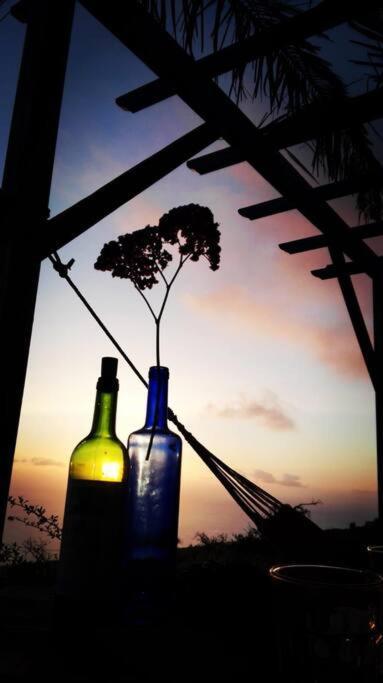 ティハラフェ Casita En El Campo Con Vista Al Oceanoヴィラ エクステリア 写真
