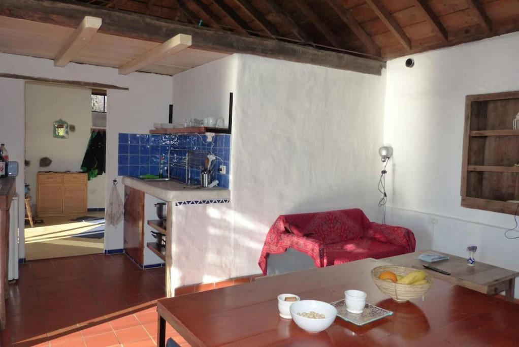 ティハラフェ Casita En El Campo Con Vista Al Oceanoヴィラ エクステリア 写真
