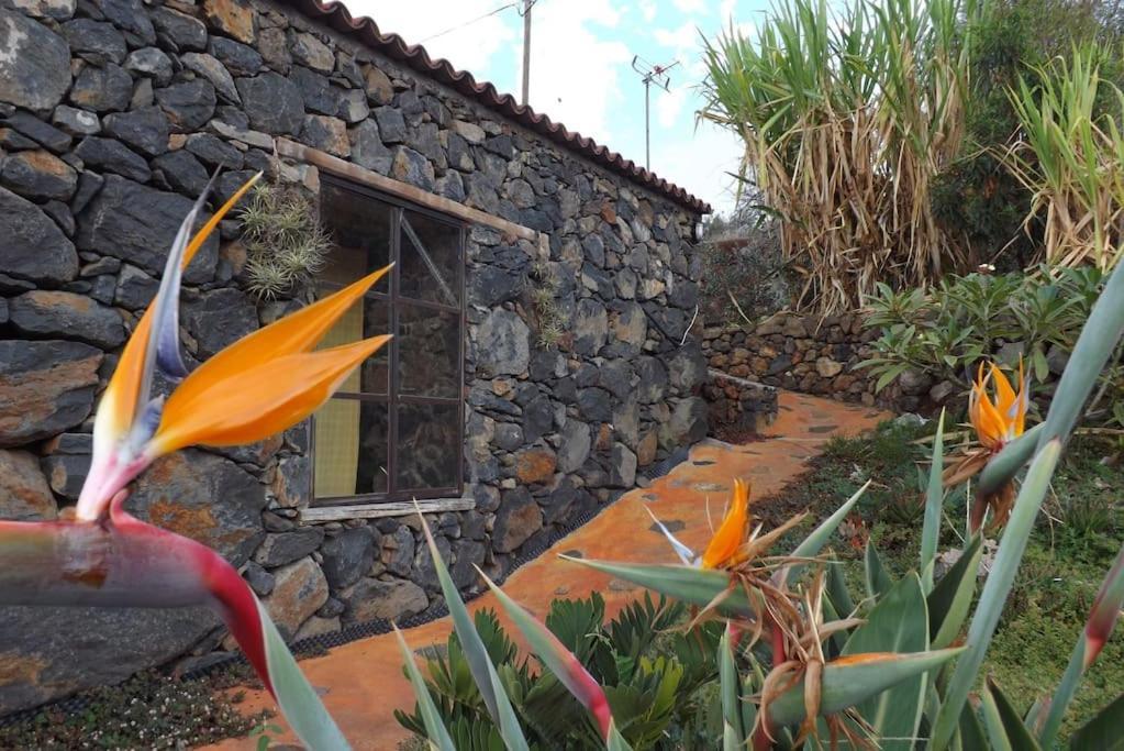 ティハラフェ Casita En El Campo Con Vista Al Oceanoヴィラ エクステリア 写真