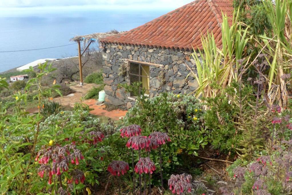 ティハラフェ Casita En El Campo Con Vista Al Oceanoヴィラ エクステリア 写真