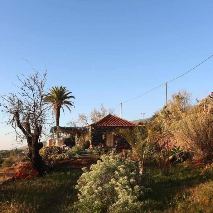 ティハラフェ Casita En El Campo Con Vista Al Oceanoヴィラ エクステリア 写真