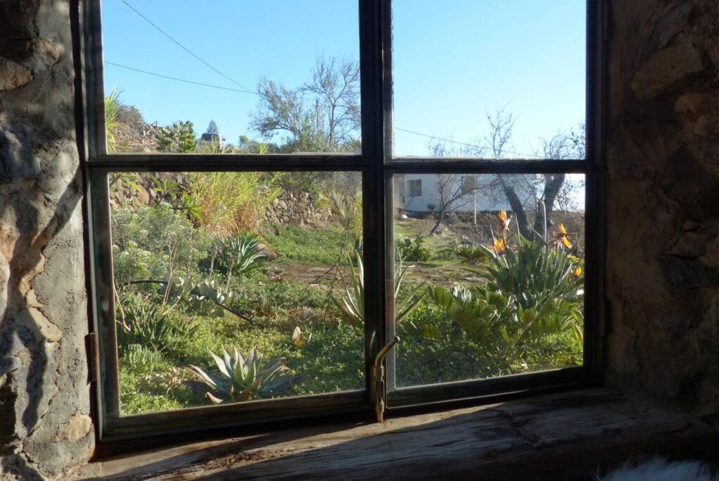 ティハラフェ Casita En El Campo Con Vista Al Oceanoヴィラ エクステリア 写真